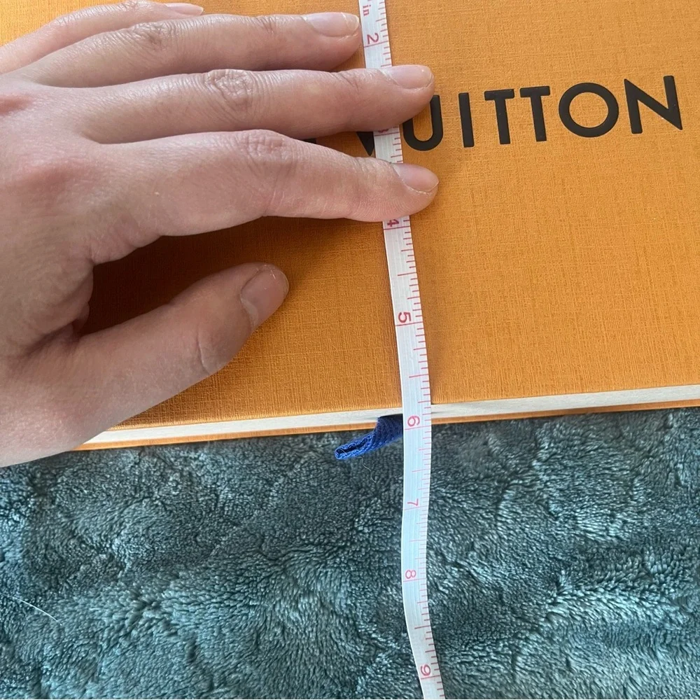 Louis Vuitton elegant louis
